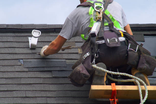 Best Roof Repair Services  in Lawton, MI