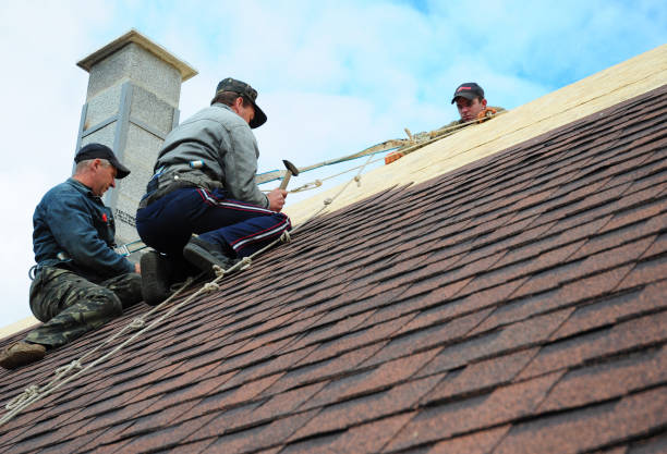 Best Roof Maintenance Services  in Lawton, MI
