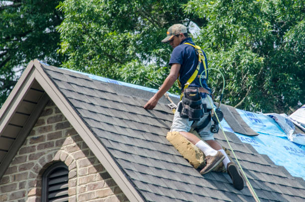 Quick and Trustworthy Emergency Roof Repair Services in Lawton, MI